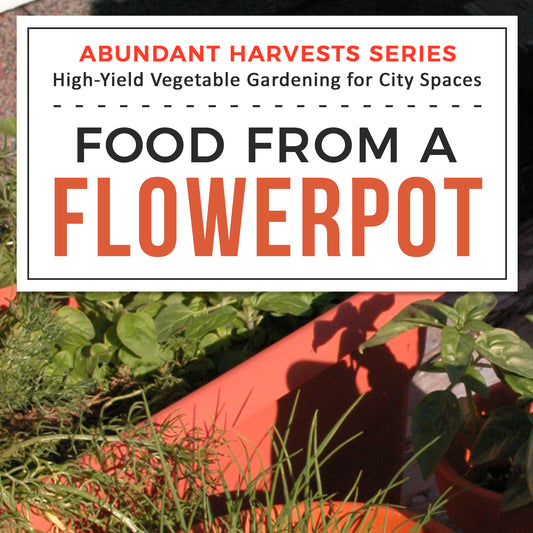 Food from a Flowerpot - ebook