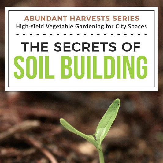 Secrets of Soil Building - ebook